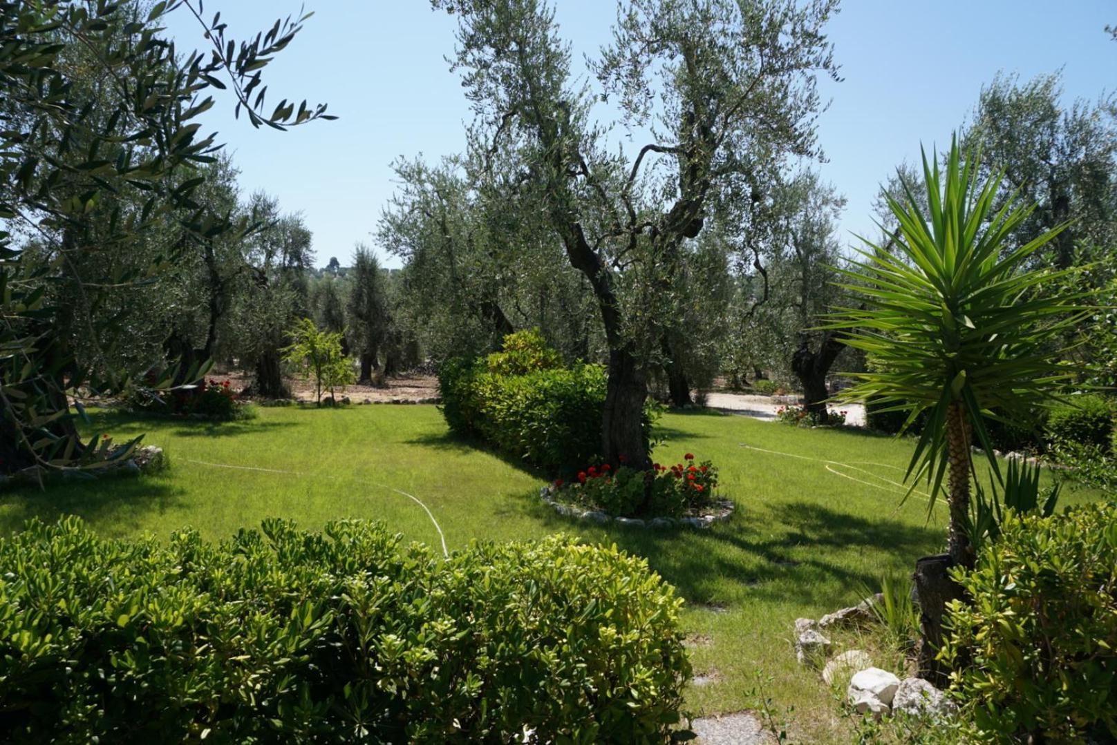Residence Valleverde Βιέστε Εξωτερικό φωτογραφία