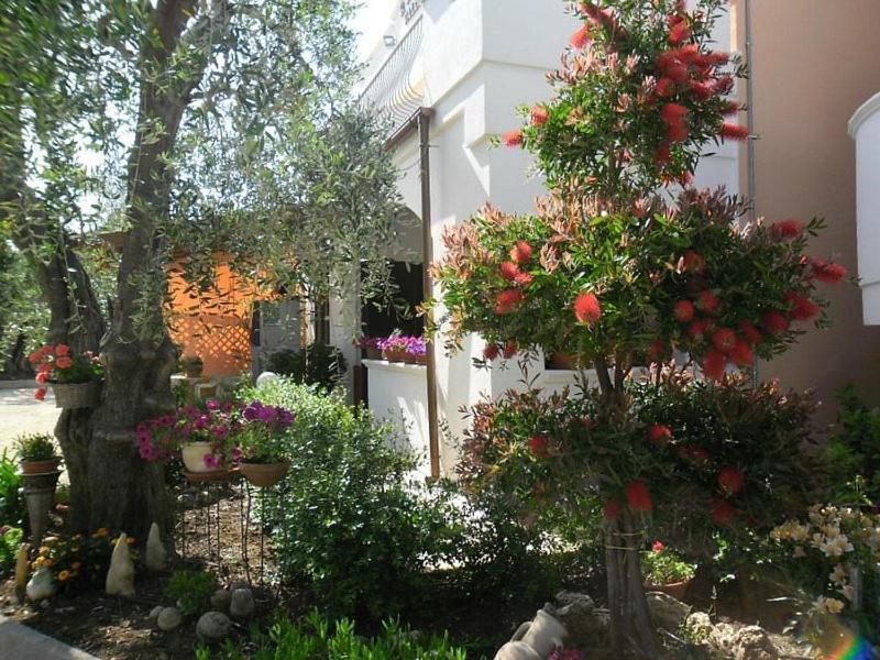 Residence Valleverde Βιέστε Εξωτερικό φωτογραφία